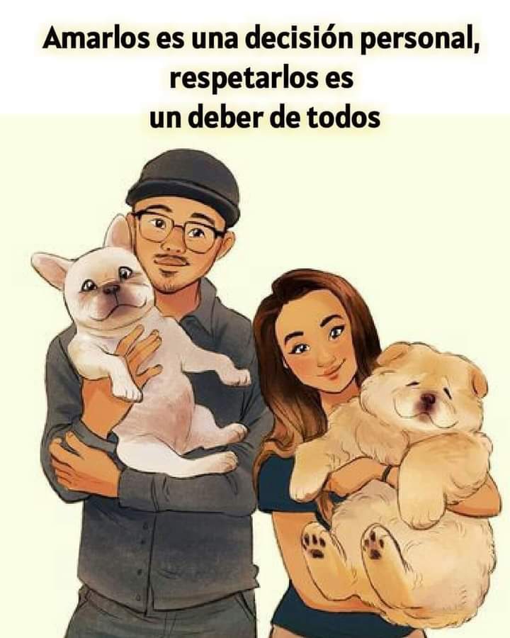 GRamirezF_D12's tweet photo. Buenos días Feliz viernes 🐾🐶❤️ https://t.co/8CVpFqBc8k