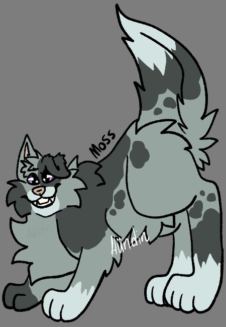 hundincreations's tweet photo. Astrid and Oaks three pups! In birth order
Moss - Dies tragically young
Hazel
And Twig

#Furry #Art #Furryart #Legacy #MossLegacy #HazelLegacy #Twiglegacy #Wolf #Canine #Princw #Princess #Queen #Royalty #Wolfprince #Wolfprincess #Wolfqueen #Wolfroyalty https://t.co/1uN54SGD32