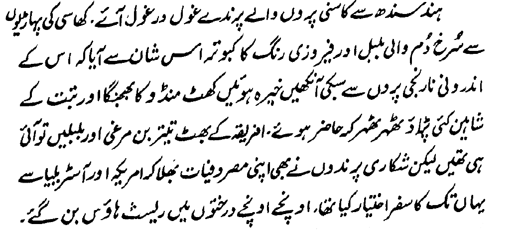 #RajaGidh by #BanoQudsia
#Urdu #HindSindh