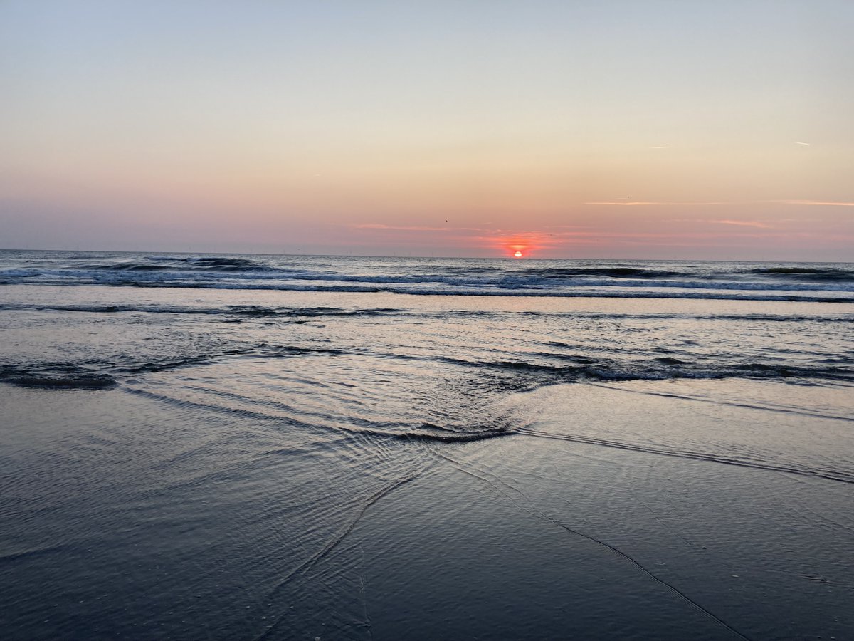 Many thanks 👏 to the #ELMI2023 organisers for a fantastic conference in Noorwijkerhout, The Netherlands 🇳🇱! We loved the science 🔬 , the camaraderie and the seaside🌊. Great to see our Nodes, friends and industry partners <a href="/EBIB_imaging/">Euro-BioImaging Industry Board</a>.
Safe travels home!
