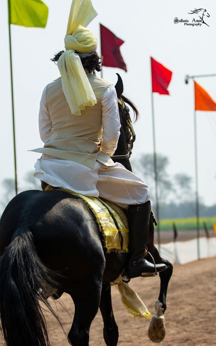 #SahibzadaSultanMuhammadAli Sb
#sahibzadasultan #SultaniaAwanClub #TentPegging #Horse #culture #HorseRiding #pakistan 

@SahibzadaSulta1