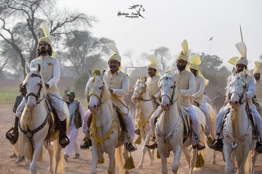 #SahibzadaSultanMuhammadAli Sb
#sahibzadasultan #SultaniaAwanClub #TentPegging #Horse #culture #HorseRiding #pakistan 

@SahibzadaSulta1