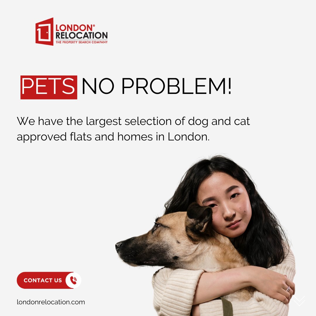 Relocate2London's tweet image. - You’ll spend less time trying to find landlords and apartments in London England
- We’re familiar with the stresses a relocation puts on a pet and a pet owner
- We help with every little detail involved in transitioning to a new home

#londonrelocation #relocationservice