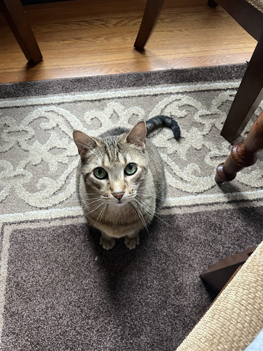 @OctopusJones.bsky.social tweet media