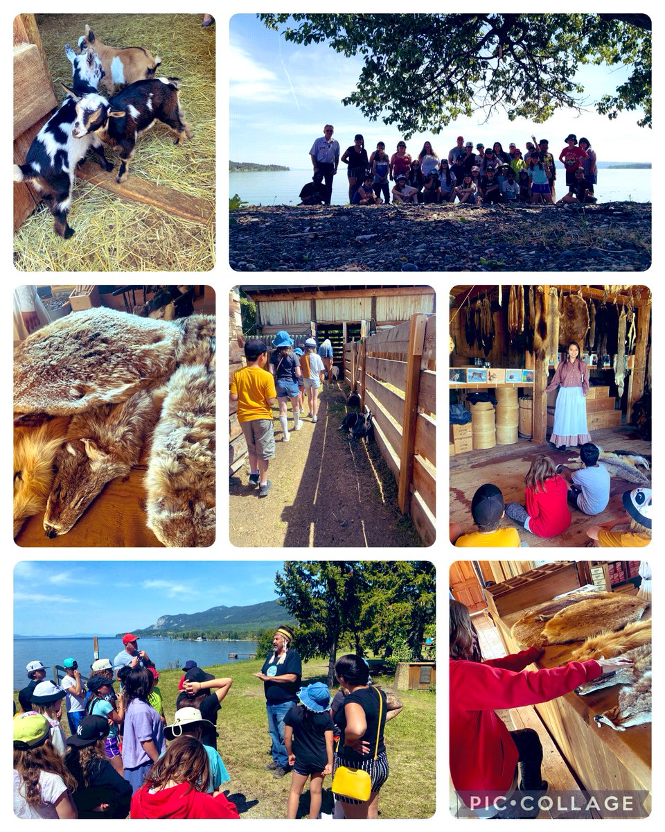 Kelsey MacDonald (@teacherkelseyy) on Twitter photo Grade 4/5- I can understand the fur trade in pre-Confederation Canada & in BC
Mussih to <a href="/DeadPine57/">Dead Pine Collective</a> for the Trapline experience before as we better understood the process of the Hudson’s Bay Company, trapping & trading furs
A beautiful day of learning on the land through play♥️ Grade 4/5- I can understand the fur trade in pre-Confederation Canada & in BC
Mussih to <a href="/DeadPine57/">Dead Pine Collective</a> for the Trapline experience before as we better understood the process of the Hudson’s Bay Company, trapping & trading furs
A beautiful day of learning on the land through play♥️