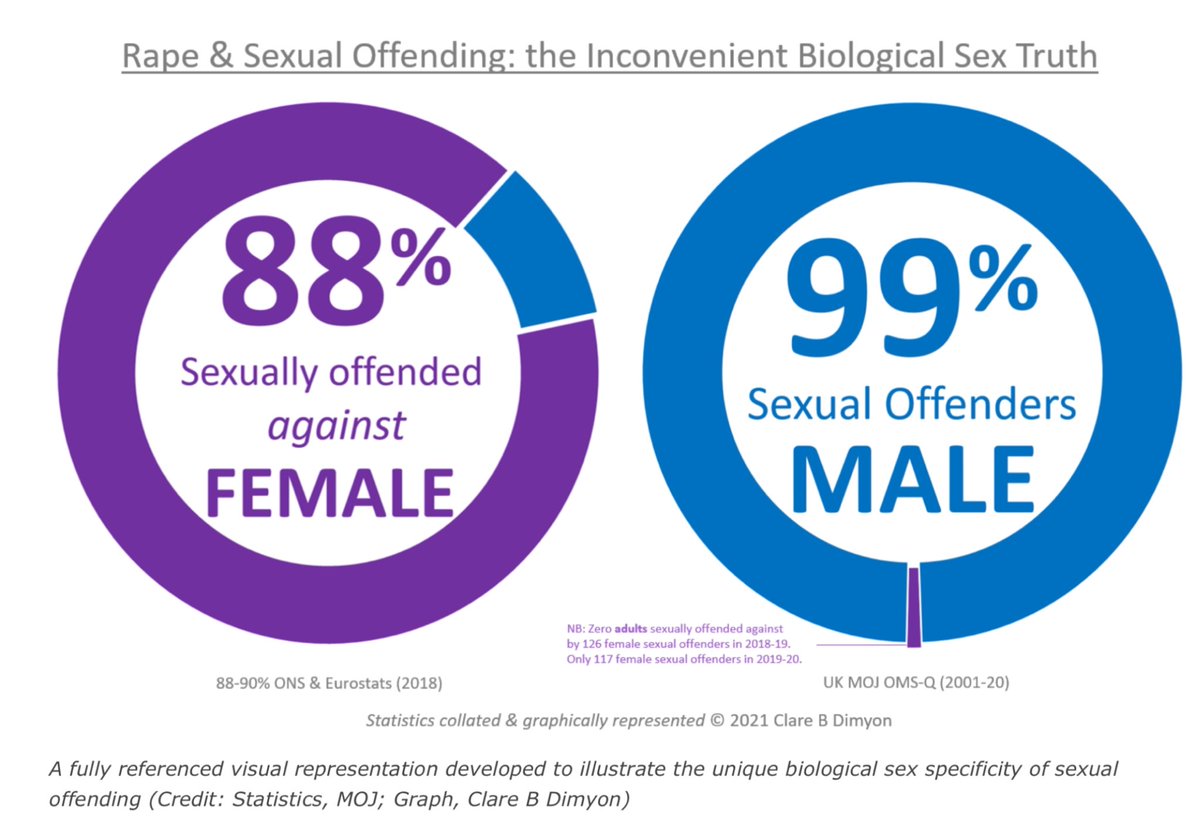 logicalclover's tweet photo. The only people that think sexed terms refer to gender-identity are those tht subscribe to the niche school of queer theory. Obviously most of the world dosen't. Female single-sex spaces were created to safeguard the female sex because of the specific risk ALL males pose to us. https://t.co/F676eVrX9n
