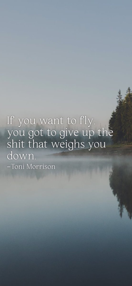 If you want to fly, you got to give up the shit that weighs you down.
-#ToniMorrison
From @AppMotivation #motivation #quote #motivationalquote

motivation.app/download