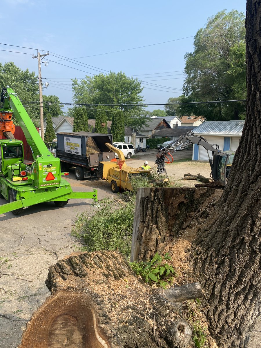 a perfect day for treework#johnsonopstreecare#treecare#merlo