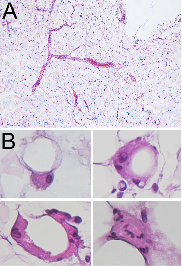 pathobotology tweet media