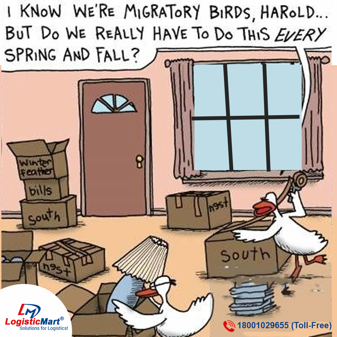 LogisticMart's tweet photo. Hire packers & movers from LogisticMart and 4 free quotes.
Call at 18001029655
Visit https://t.co/HEvyX4fPk0
#moverspackers #packersandmoversnearme #moversandpackers #Packers #packersmovers #packersandmovers #homeshiftingservice #homeshifting #officeshiftingservice https://t.co/tG6TVMBTHU