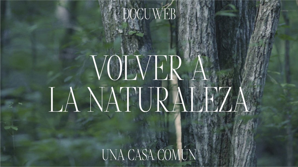 ¡‘Volver a la naturaleza’ y ‘Carta de amor a las ciudades’ han vuelto a ser premiados! Ayer ganaron el bronce y la plata del premio <a href="/adgfad/">ADG-FAD</a> LAUS Digital.

¿Conoces este proyecto de @EducaThyssen?

museothyssen.org/webdocs/conect…

museothyssen.org/webdocs/conect… 

#ElMuseoDeTodos