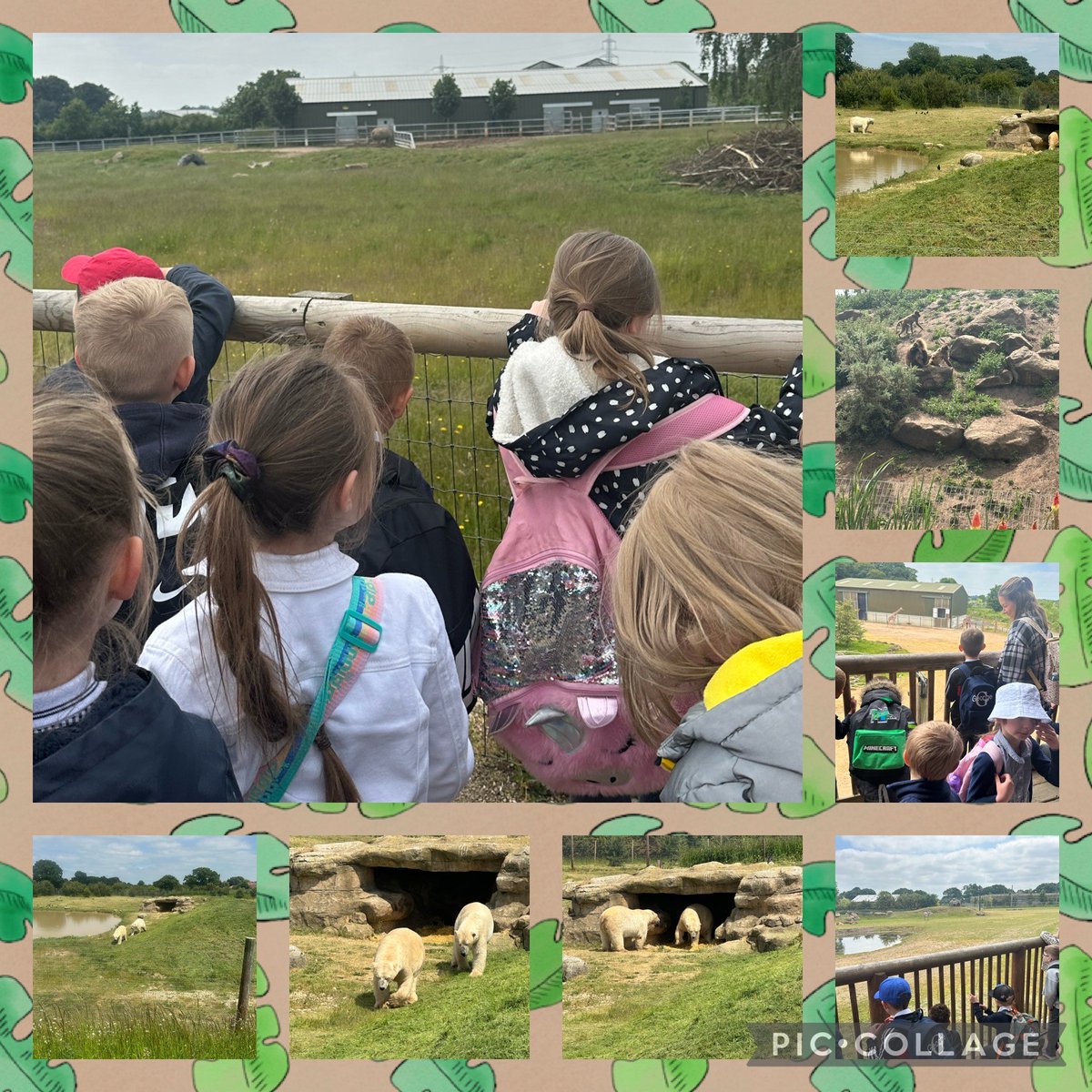 asaleavers27's tweet photo. Yesterday, @asaleavers27 had an amazing time at Yorkshire Wildlife Park. We learnt all about different habitats and what animals need to survive https://t.co/2QwcT1vhAp