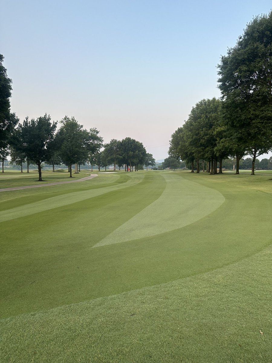 Mistadub7's tweet image. Let em’ play! #CGCC ⛳️🔥