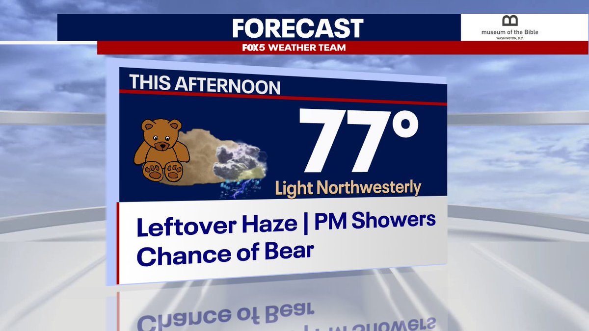 Forecast: Leftover smoke. Chance of bear. @FOX5DC