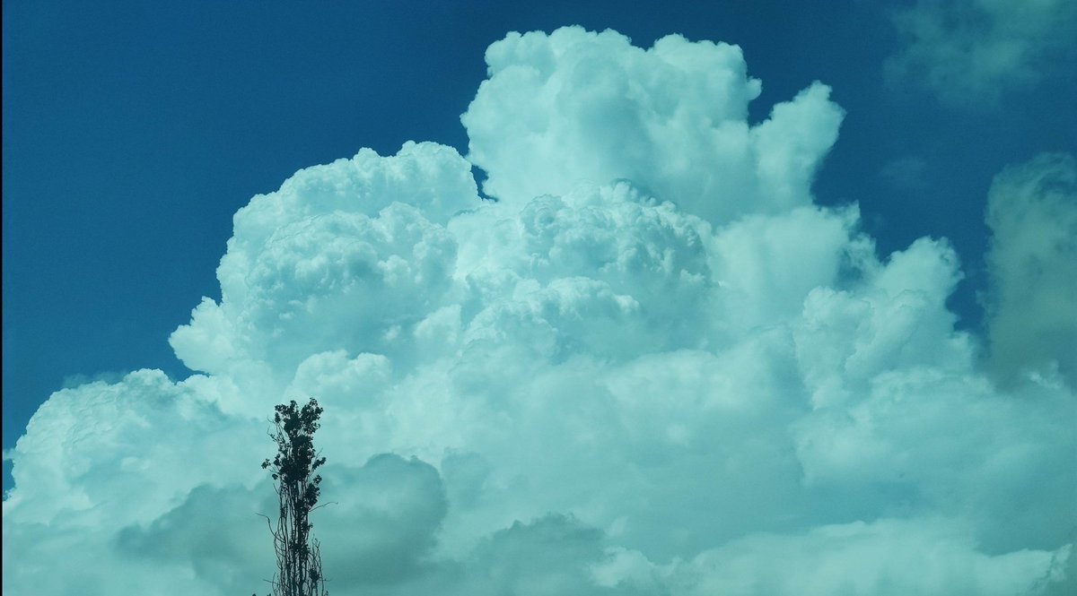 davidgrf10's tweet image. Bom cúmul calvus transformant a capillatus vist desde Vilafranca del Penedès. Nuvolada anclada a la Prelitoral.⛈️