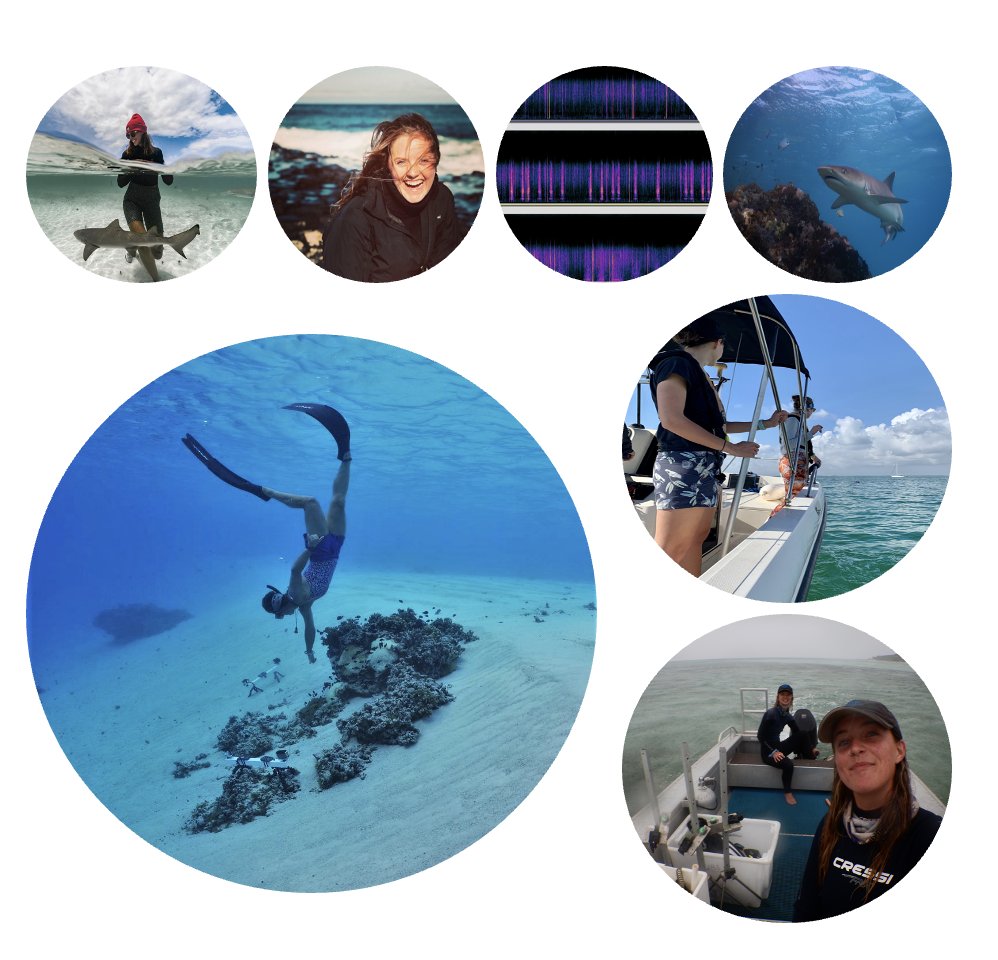 cathyhobbs123's tweet photo. Please join us @FestofNature for 🎤Fish Tunes and Ship Booms: Navigating the sea of noise🐠🎤. 
Expect #activities #games &amp; #oceanfun
🗓️Sat 10th June, 10am-5pm
📍UoB Micro-Campus, Wellspring Settlement Site
#festofnature23 #WorldOceanDay 🌊
@engage_bristol @BristolBioSci https://t.co/riQQB5jDe9