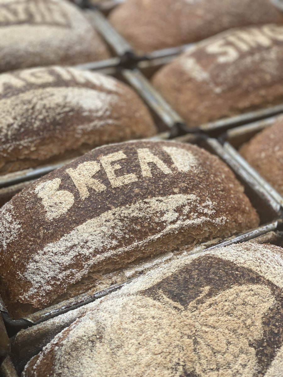 Hodmedods's tweet image. 🍞 Order slow-fermented #sourdough loaves. They taste great, nourish the body and support artisan producers from field to loaf. Order by 8am every Monday and your bread will be freshly baked for dispatch on Wednesday and next-day delivery. hodmedods.co.uk/collections/ba… #realbread