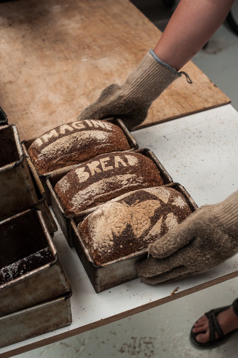 Hodmedods's tweet image. 🍞 Order slow-fermented #sourdough loaves. They taste great, nourish the body and support artisan producers from field to loaf. Order by 8am every Monday and your bread will be freshly baked for dispatch on Wednesday and next-day delivery. hodmedods.co.uk/collections/ba… #realbread