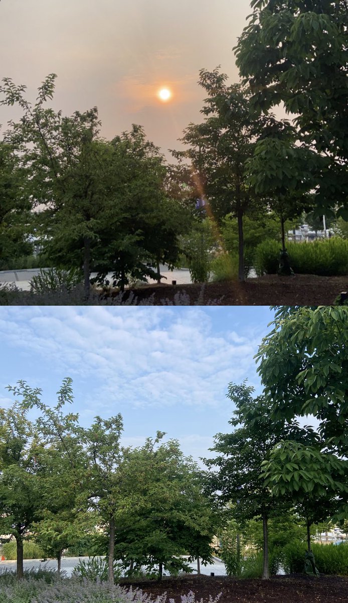 Before and after. #WildfireSmoke