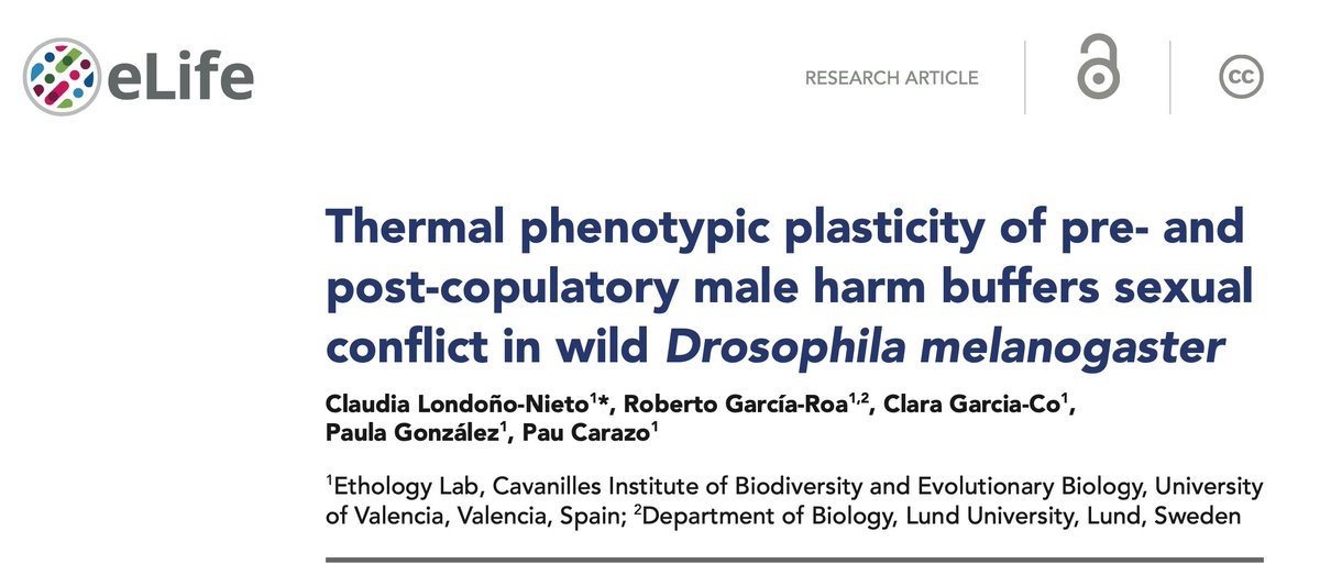 New paper from the lab published in @eLife!
Work by PhD student (and future star) Claudia Londoño-Nieto 

Thread:

Sexual selection drives phenotype evolution and can boost population viability and evolvability, but can also depress population growth via sexual conflict...

1/5