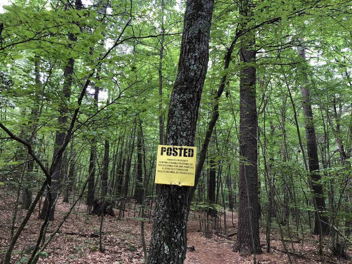 CDanaherH's tweet photo. I don’t #exaggerate the great
delight it brings—
like springs put in my feet—
when crossing boundaries
corporate entities have placed…
like they could ever cage
what’s green & free!
Like sign or #fence could ever keep
me from the trees!
#vsspoem
#vss365
#poem
#poetry https://t.co/g9P7Foyerl