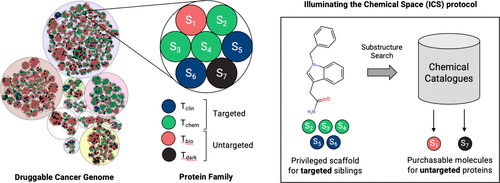 Illuminating the Chemical Space of Untargeted Proteins #cheminformatics #drugdiscovery
pubs.acs.org/doi/10.1021/ac… 
@CoteFalaguera @jor501mes3 
Vol63 Issue9 #JCIM #Chemical_Information