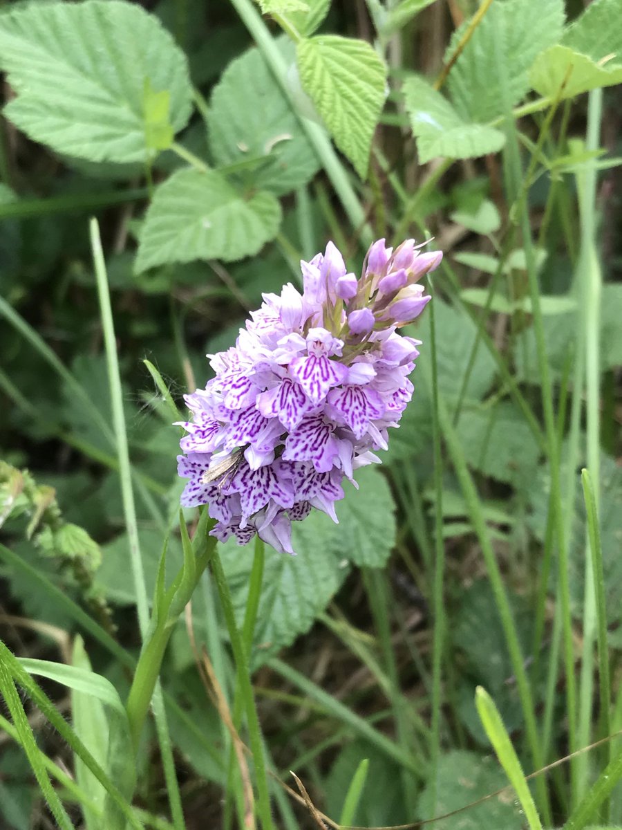 Jamie Rohu 🌍 tweet media