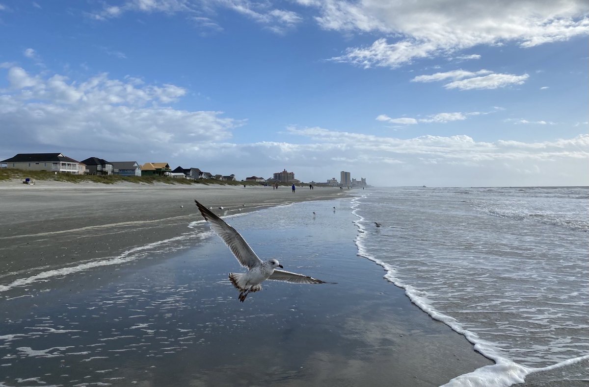 #FridayVibe #SaltLife