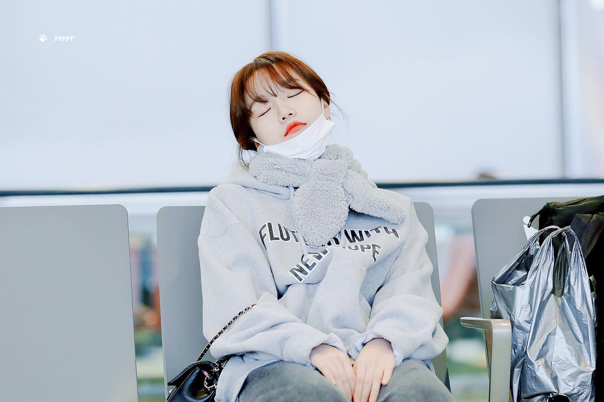 뜨끈하게 녹아버린 강아지야