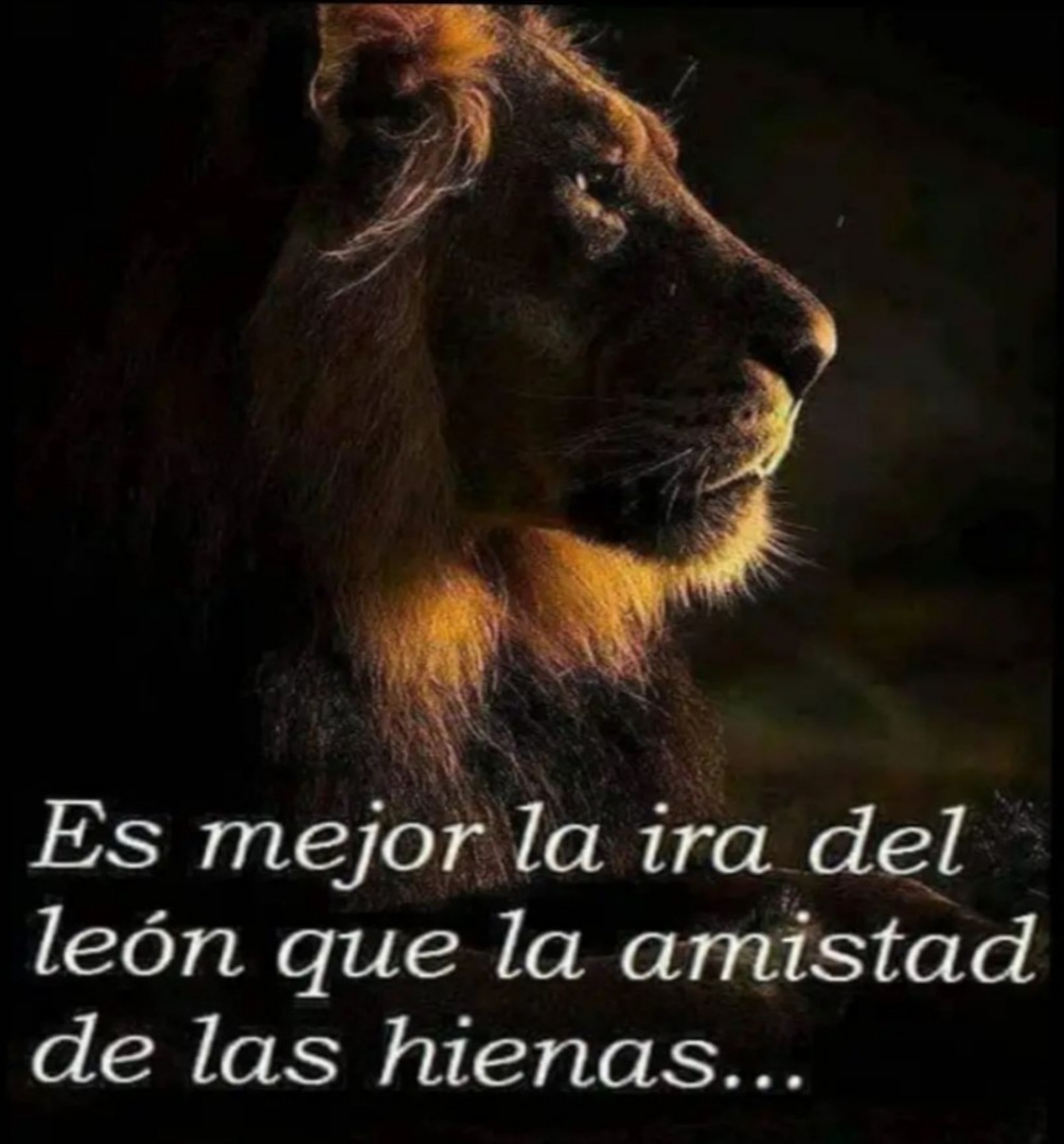 gusrulo's tweet photo. Tal cual ; va con onda ... https://t.co/ZVh8QKfMao