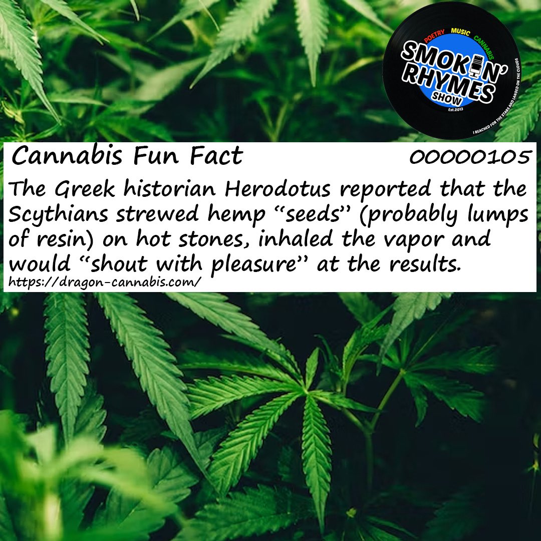 How Greeks of the past got high.
#funfact #funfactfriday #cannabisfunfact #cannabisart
#cannabiscommunity #cannabiseducation #cannabis #cannabismedicine #cannabisculture #cannabissociety #cannabislifestyle #cannabislover #cannabisindustry #cannabisphotography  #global #aimhy