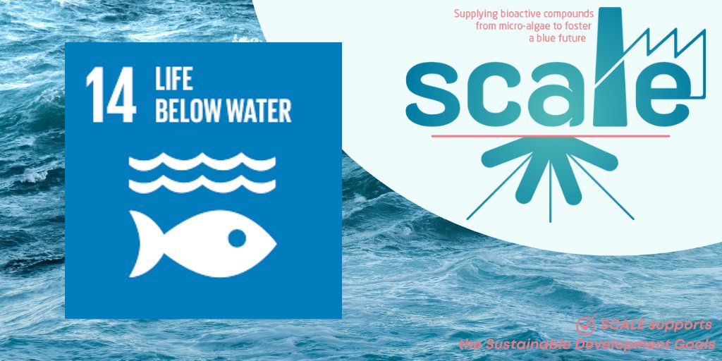 SCALE Project tweet media