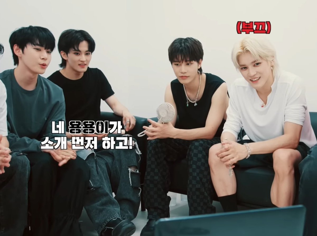 용용이와 도빵이 세계관