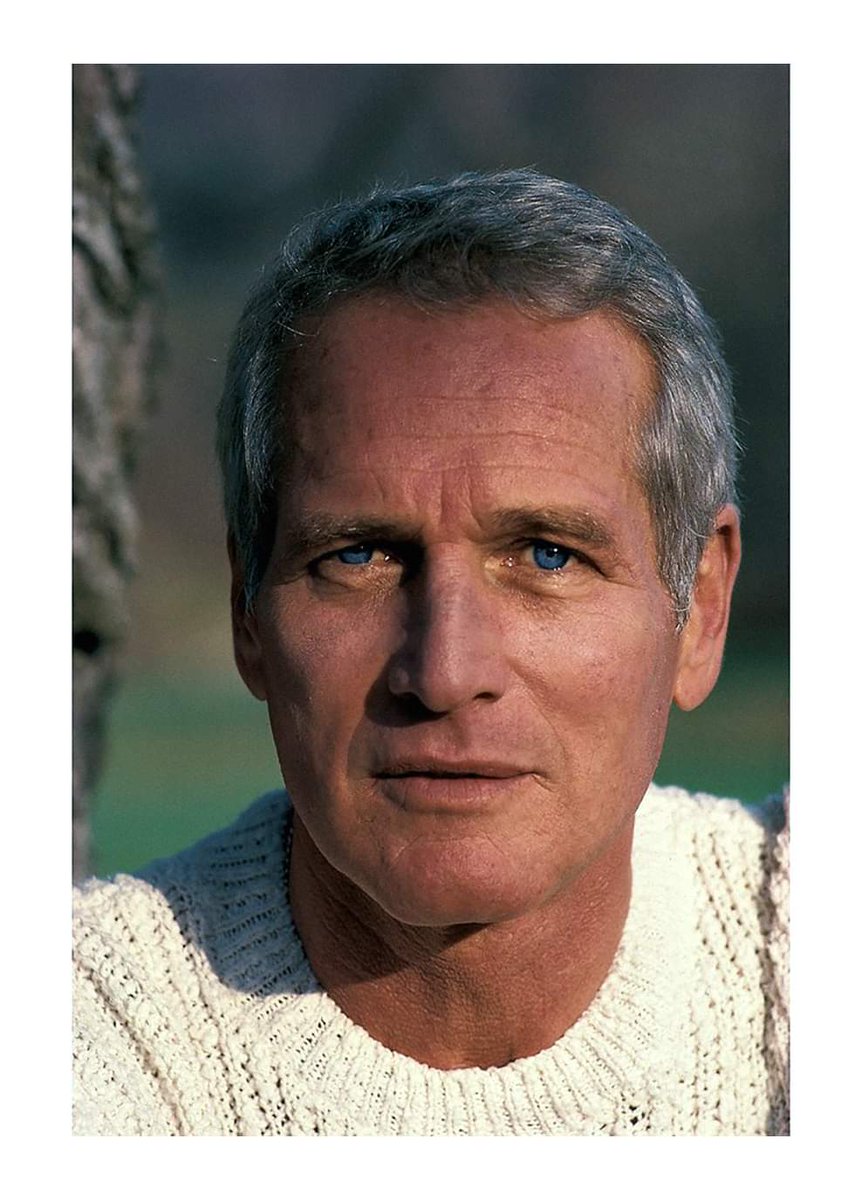 Neil Leifer 
Portrait of screen actor 
#PaulNewman during photo shoot at his home.  

Westport, Connecticut 11/1982