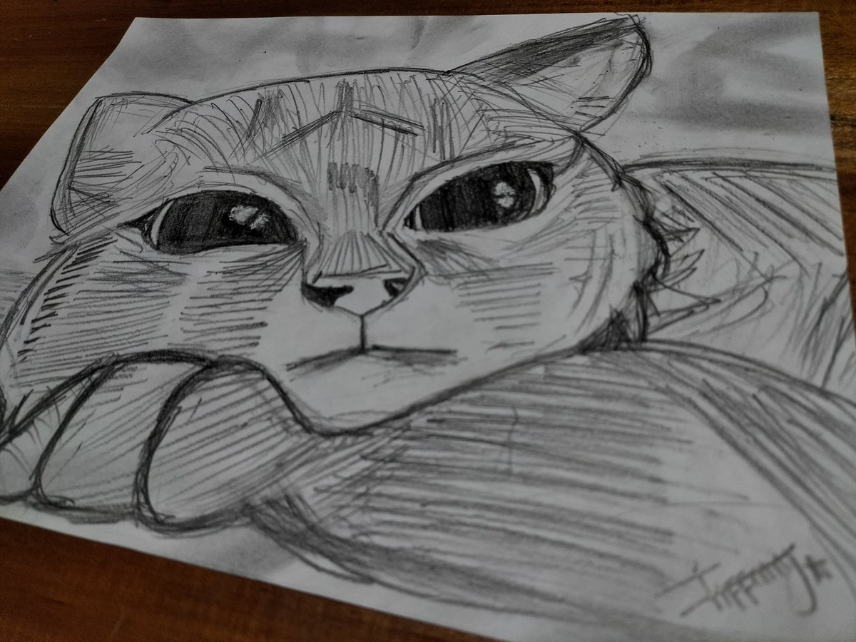 gabskzo's tweet photo. new drawings 🫰 https://t.co/pdRtzjbhBq