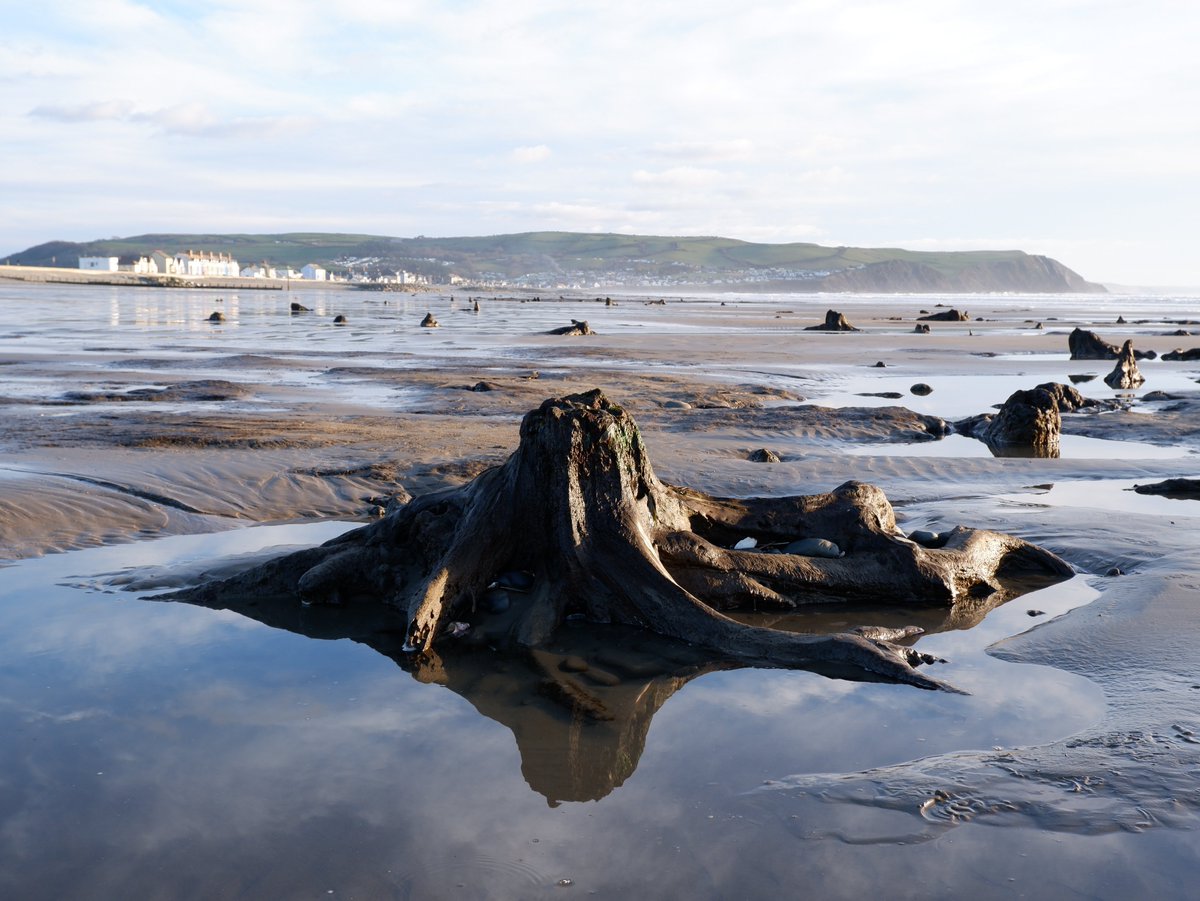 Join us online on *TUES* 20 June for 'Decomposition / Recomposition: muddy, oozy spaces of estuary, fen, sea floor, & tideline' with @Frangipancesca, @RLDrake, @HJP_Armstrong & @CatRoseEvans. Book here: history.ac.uk/events/decompo…… #ecocriticsm #coastal #BlueHumanities #medievalism