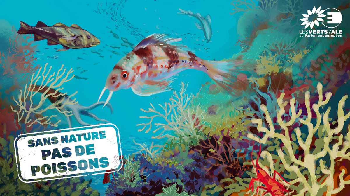 Nous pouvons encore sauver la loi sur la restauration de la nature, pour protéger la biodiversité et notre alimentation.

Écrivez aux député·e·s européen·ne·s de la commission de l'Environnement pour leur dire de voter pour le texte le 15 juin !

✍️ act.greens-efa.eu/fr/restore-nat…