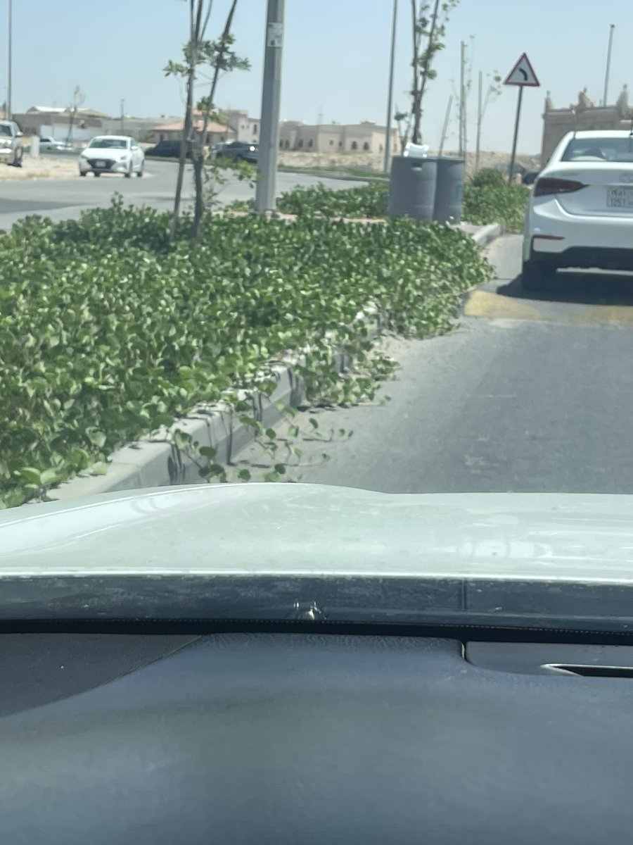 عثمان بن صالح الغامدي tweet media
