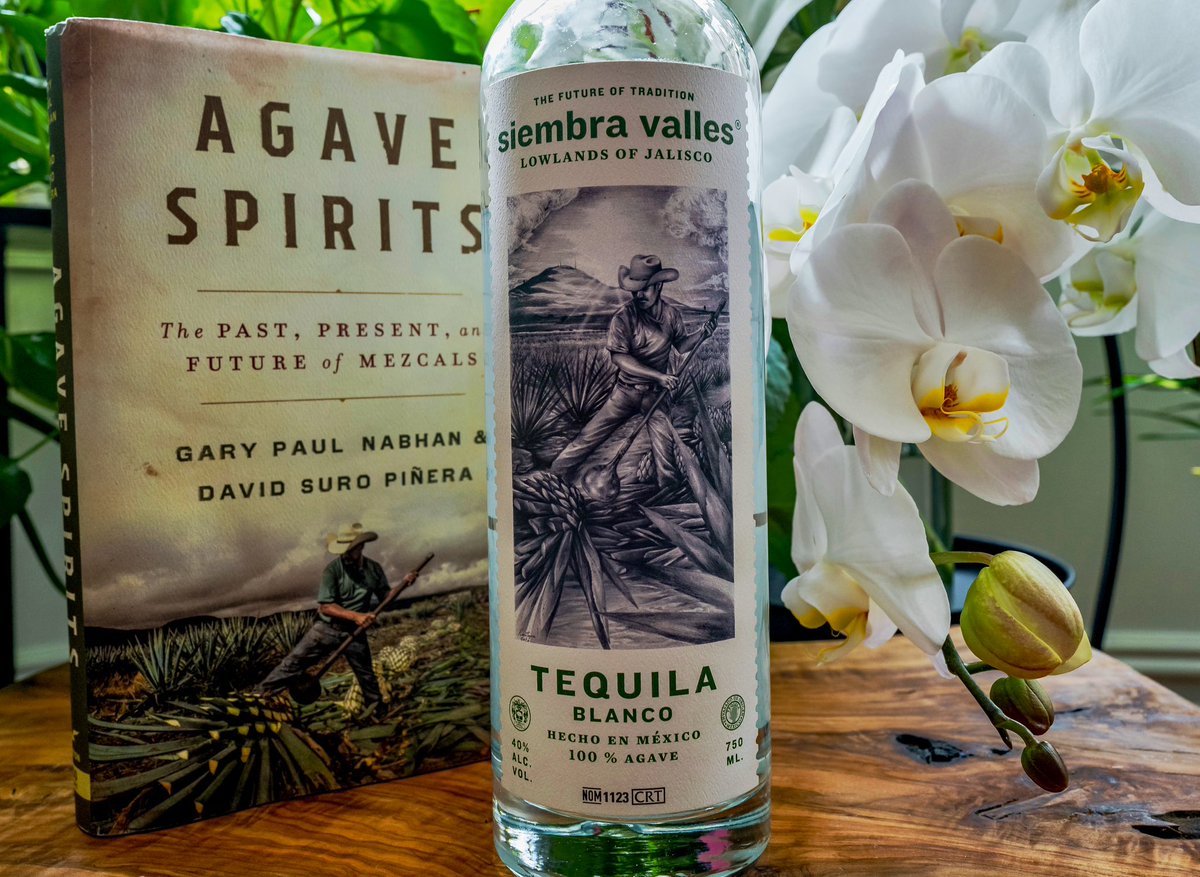 David Suro-Piñera tweet media