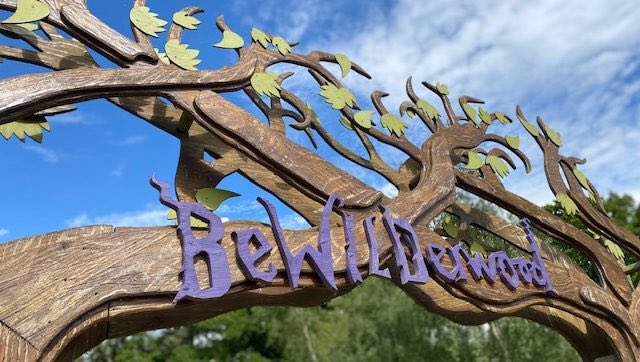 TivPrimary's tweet photo. What a wonderful day we’ve all had exploring BeWILDerwood! @BurstonSchool https://t.co/yY9akzqCHb