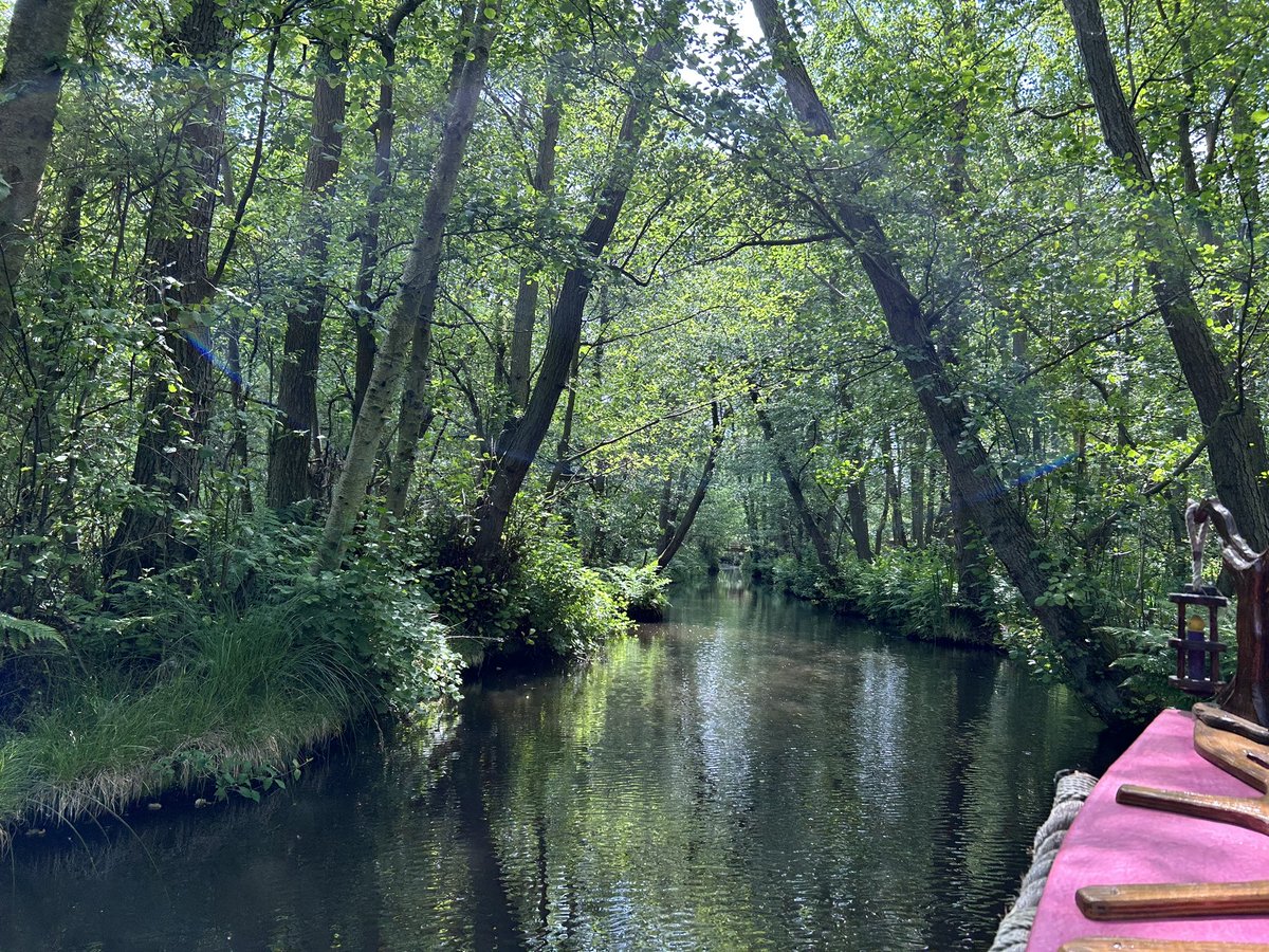 TivPrimary's tweet photo. What a wonderful day we’ve all had exploring BeWILDerwood! @BurstonSchool https://t.co/yY9akzqCHb