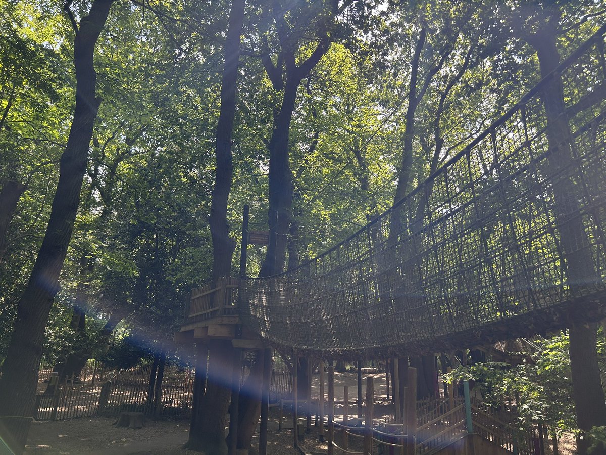 TivPrimary's tweet photo. What a wonderful day we’ve all had exploring BeWILDerwood! @BurstonSchool https://t.co/yY9akzqCHb