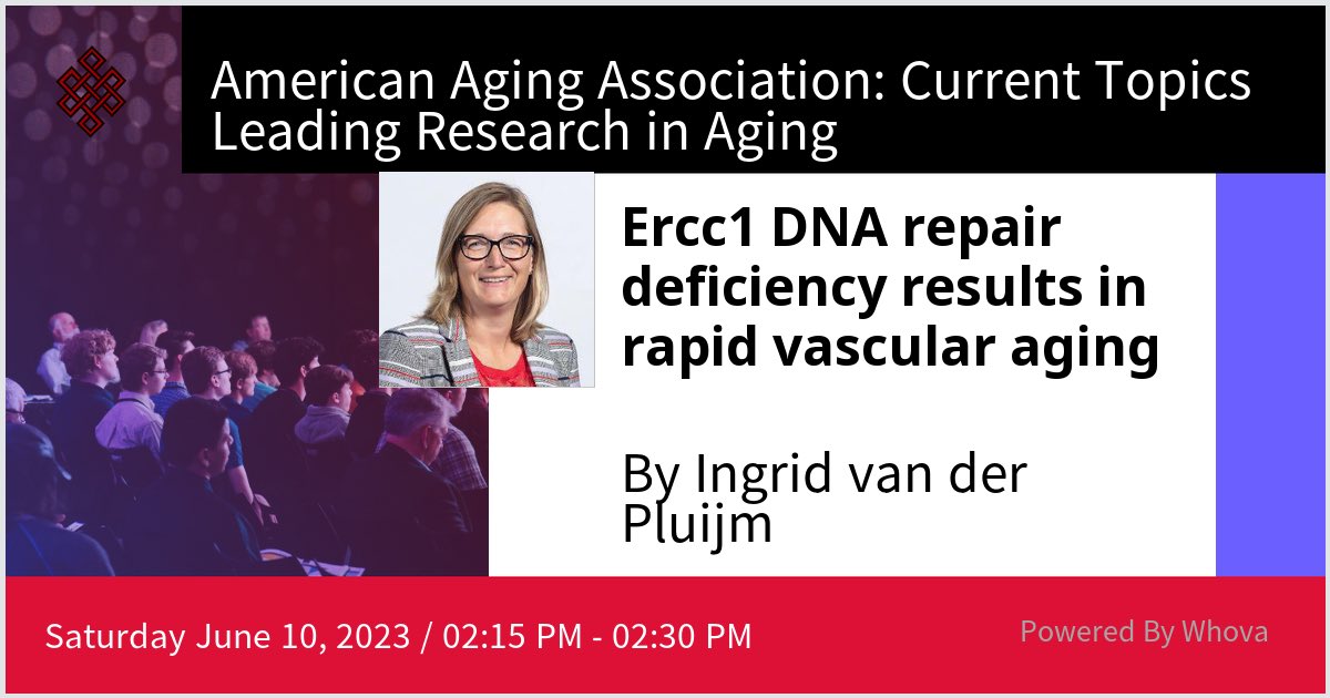 Ingrid van der Pluijm tweet media