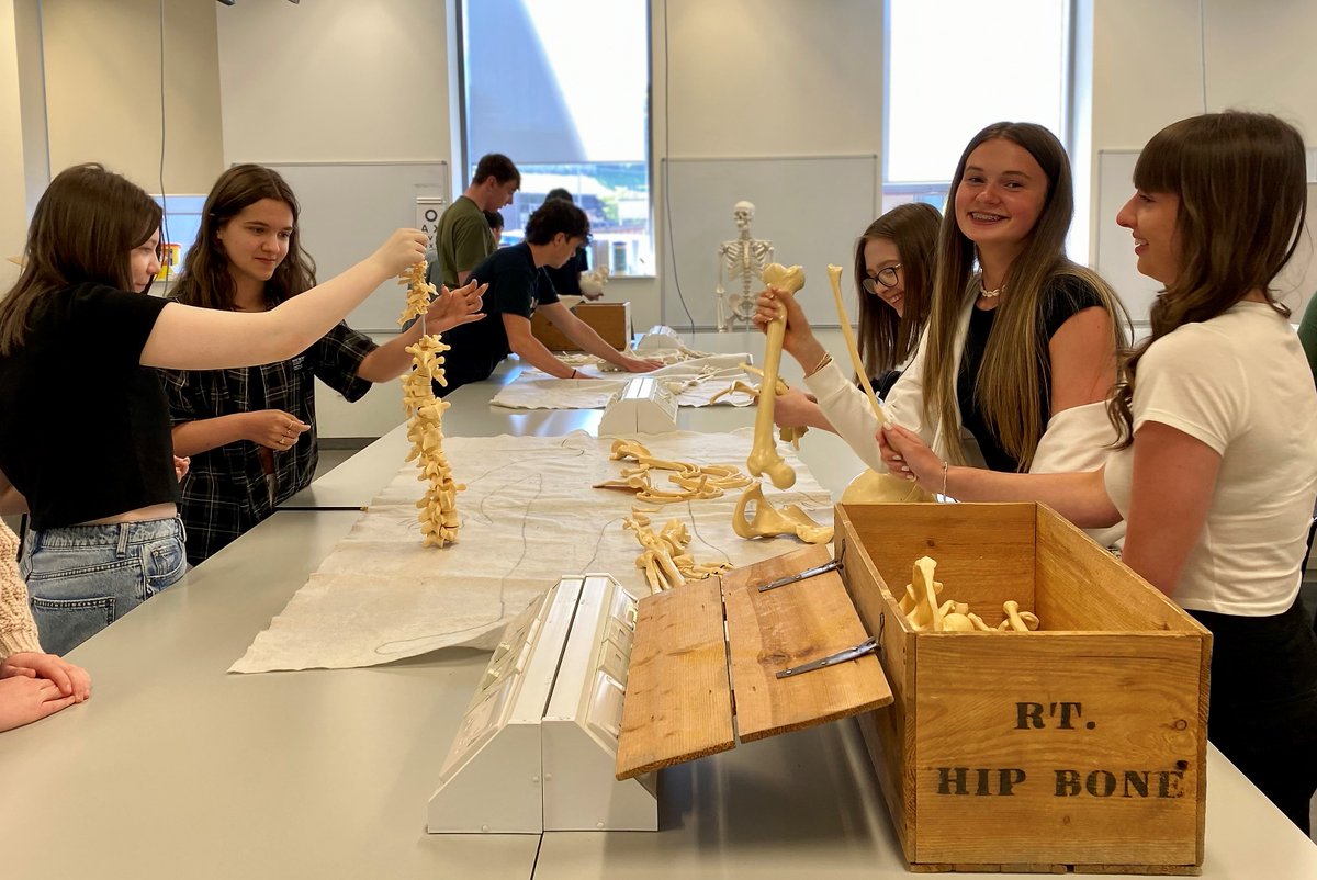 School of Medicine tweet media