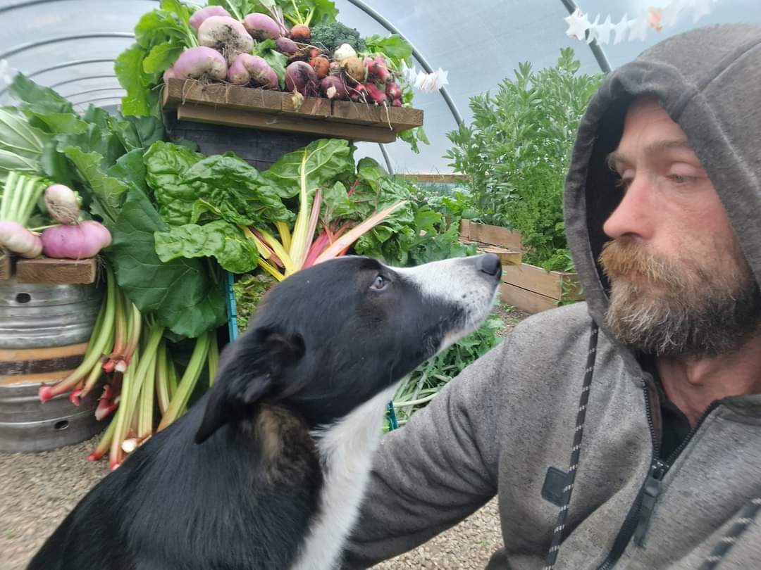STS C.I.C (@sts_cic) on Twitter photo Donated to 2 local food poverty projects this week: turnips, beets, rhubarb, chard, kale, asparagus, radish, lettuce, spinach & sprouting broccoli.
Our model thinks it looks so good that she is renegotiating her contract #thatweeface #cantsayno 🐾 Donated to 2 local food poverty projects this week: turnips, beets, rhubarb, chard, kale, asparagus, radish, lettuce, spinach & sprouting broccoli.
Our model thinks it looks so good that she is renegotiating her contract #thatweeface #cantsayno 🐾