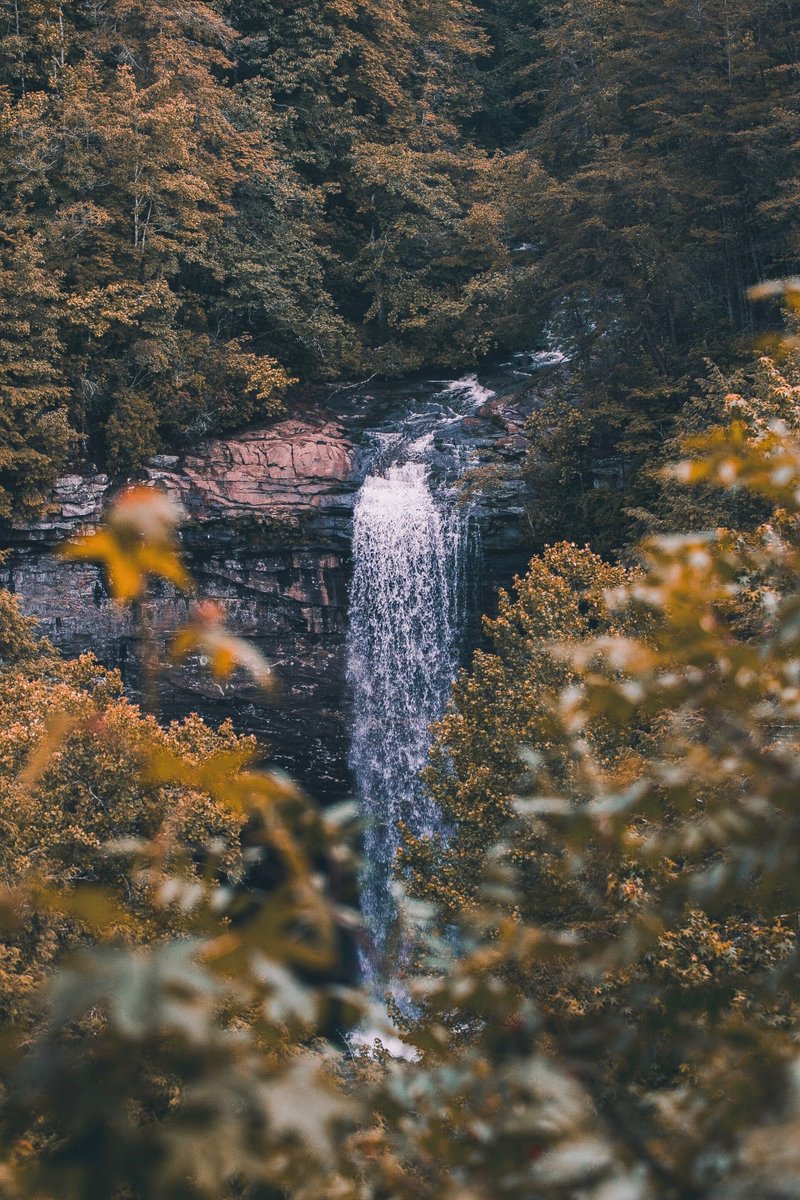 AvenzaMaps's tweet image. Ontario has a few hidden gems worth exploring! This 21 m cascade waterfall is stunning in the summer. 😍

Add Tiffany Falls to your weekend getaway adventures! #chasingwaterfalls

bit.ly/3WJjtae