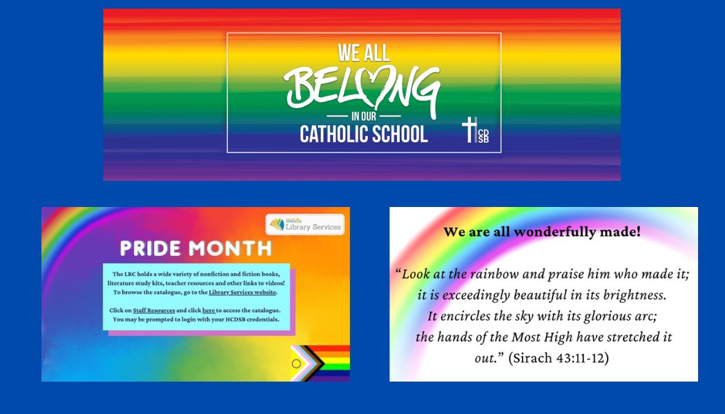 June is the designated Pride Month in Canada and throughout the month we reaffirm our commitment to building safe and welcoming learning environments. In honour of Pride Month we have compiled resources for staff in our topic guide. Check it out - library.hcdsb.org/news @HCDSB