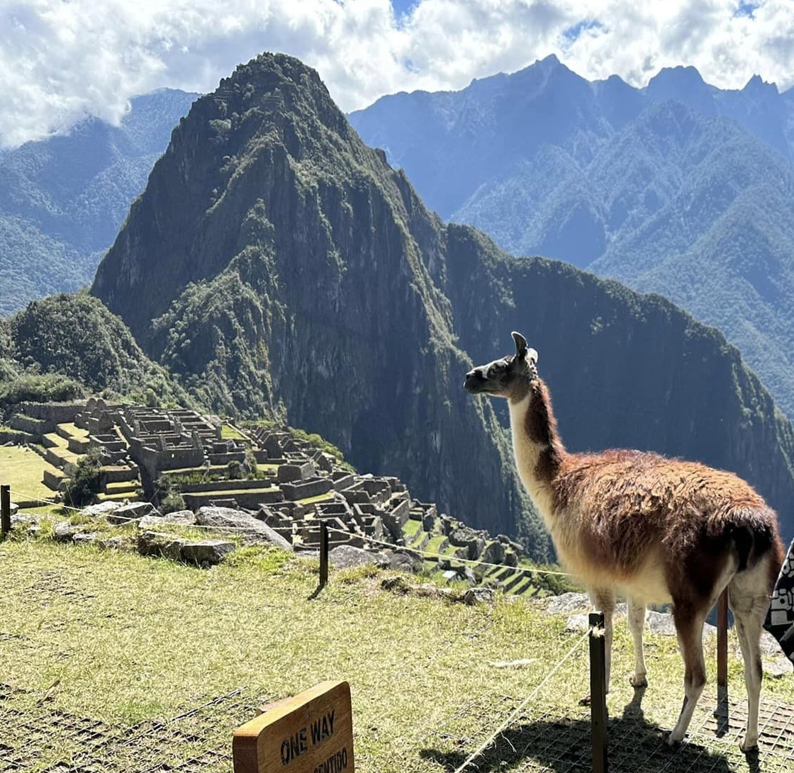 🌄✨ Discover the magic of Peru and the awe-inspiring wonder of Machu Picchu! 🇵🇪⛰️ Immerse yourself in ancient history, breathtaking landscapes, and vibrant culture. 🏞️✨ #Peru #MachuPicchu #BucketList #IncaTrail #Wanderlust #TravelPeru #AdventureAwaits  #AndeanSpirit