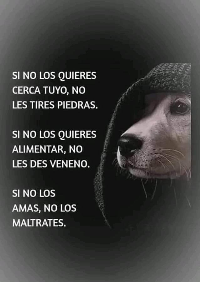 pablorojoru1979's tweet photo. https://t.co/0FprHGElsB