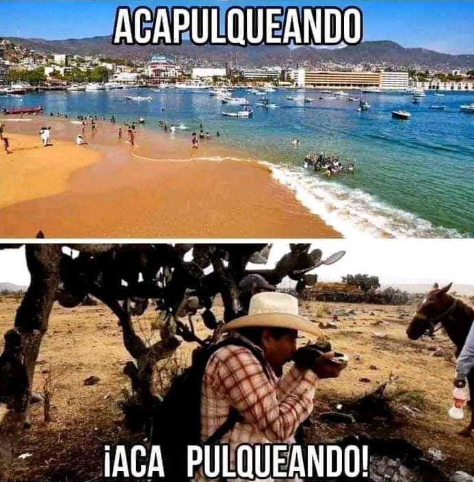 Anoposí 🤣🤣🤣